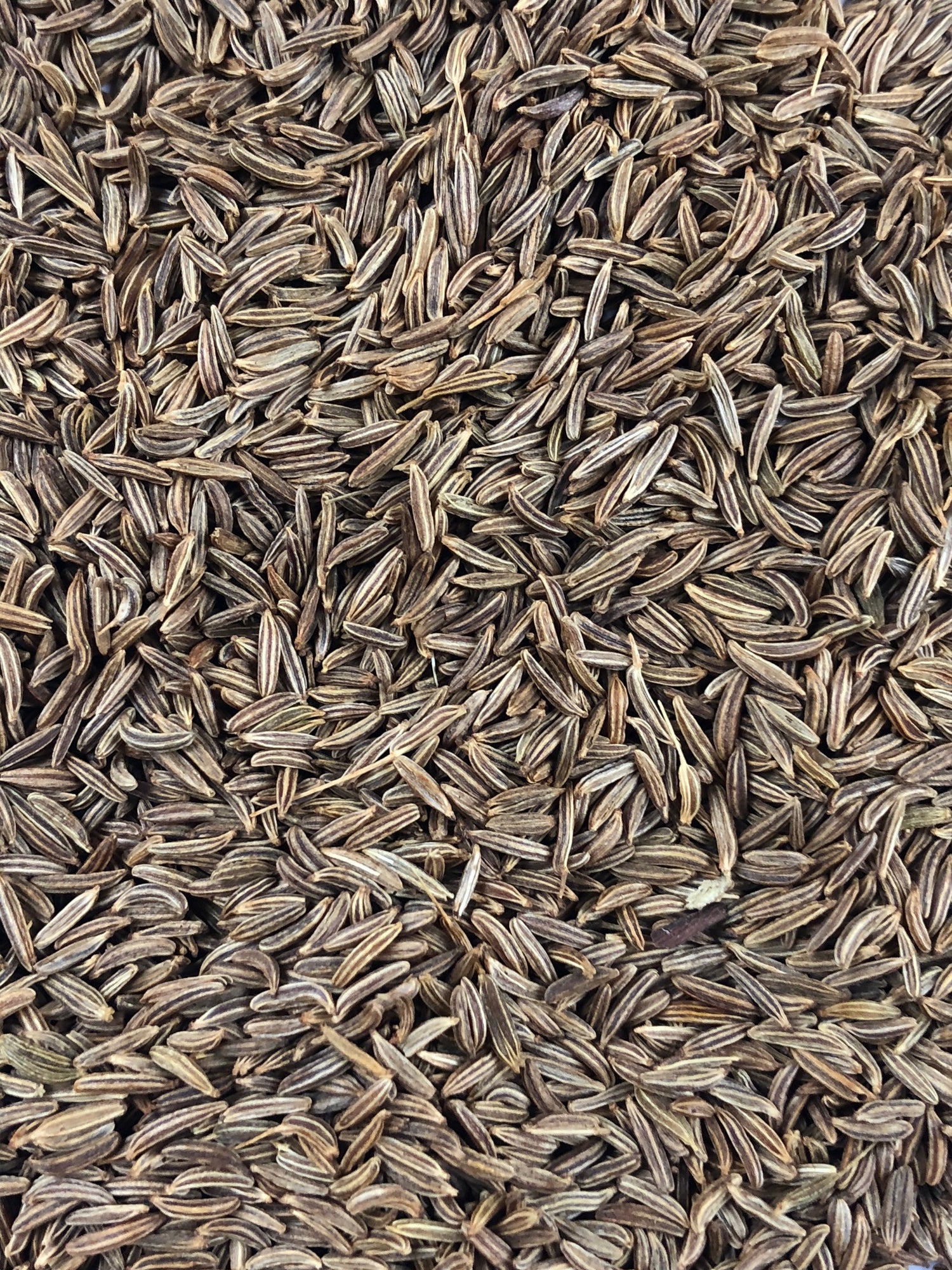 Spice Advice: Caraway Seeds