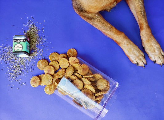 Pumpkin Rosemary Dog Treats
