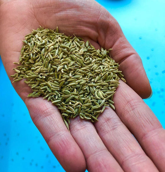 Spice Advice: Fennel Seed